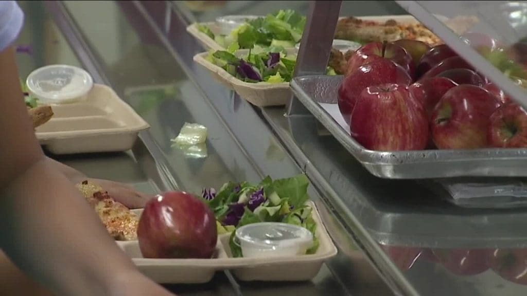 Hilldale grant provides free lunch for all students